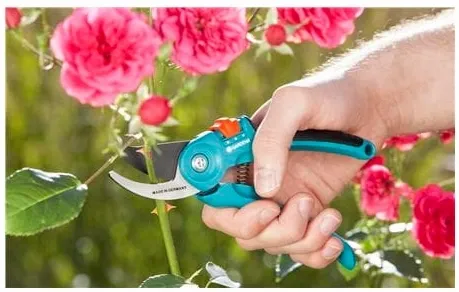 Sekator nożyce ogrodowy GARDENA Classic B/S-M na Arena.pl