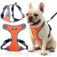 SZELKI DLA MAŁEGO PSA BEZUCISKOWE MOCNE GUARD M