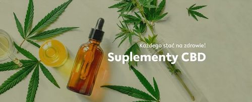 CBD 6% OLEJEK KONOPNY DLA ZWIERZĄT FULL SPECTRUM na Arena.pl