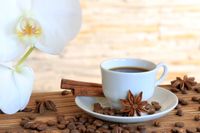 FOTOTAPETA kuchenna FILIŻANKA KAWA ZIARNA KWIAT