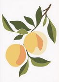 Plakat 13x18cm  Pomarańcz Minimalistyczny , Wnętrza Styl Skandynawski, Boho