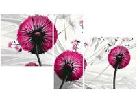 90CM 50CM 3 ELEM. OBRAZ DMUCHAWCE AMARANCIE ŚCIENNY DRUK PŁÓTNO RAMA