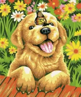 Malowanie po numerach 40x50cm Piesek z motylem