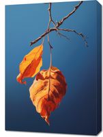 Obraz 50x70cm Ostatni Oddech Lata