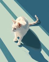 Plakat 40x50cm Kocia Persona