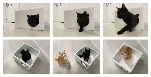 DOMEK BUDA BUDKA LEGOWISKO DLA KOTA NA ZIMĘ na Arena.pl