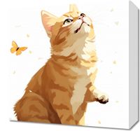 Obraz 40x40cm Motyle i Marzenia