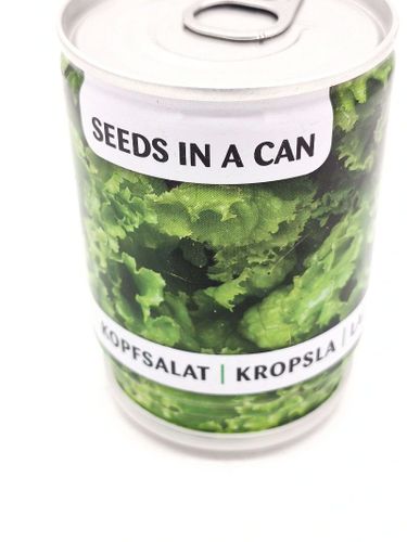 Sadzonka w puszce sałata na Arena.pl