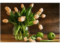 120CM 80CM OBRAZ ŚCIENNY RDZAWE TULIPANY