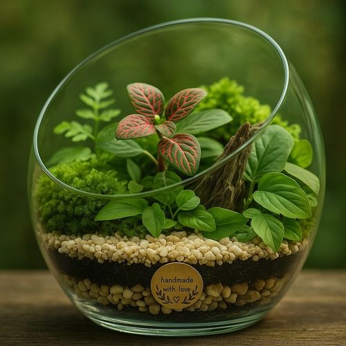 LAS W SŁOIKU SZKLE KOMPLETNY 10 elementów Z ROŚLINKĄ I KULA SŁÓJ ZESTAW na Arena.pl