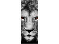 product-compare-58644952