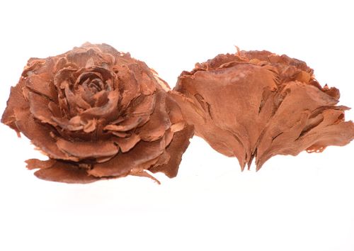 Róża cedrowa naturalna x2 na Arena.pl