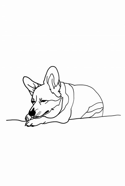 Plakat 68x101cm Śpiący Corgacz zdjęcie 1