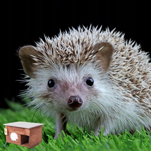 Domek dom dla Jeża jeży DREWNIANY budka dom legowisko producent XXL na Arena.pl