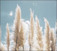 Tło do fotografii produktowej kulinarnej Flat Lay