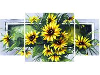 product-compare-58653344