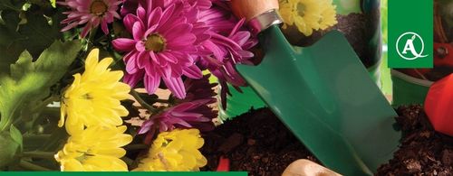 Nawóz Florovit Agro Complex NPK 12-11-18 25kg NISKA ZAWARTOŚĆ CHLORKÓW na Arena.pl