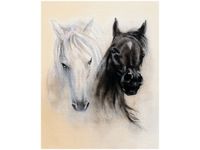 40X50CM BLACK&WHITE OBRAZ