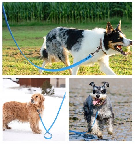 SMYCZ TRENINGOWA dla Psa MOCNA BIOTHANE PVC 10m na Arena.pl