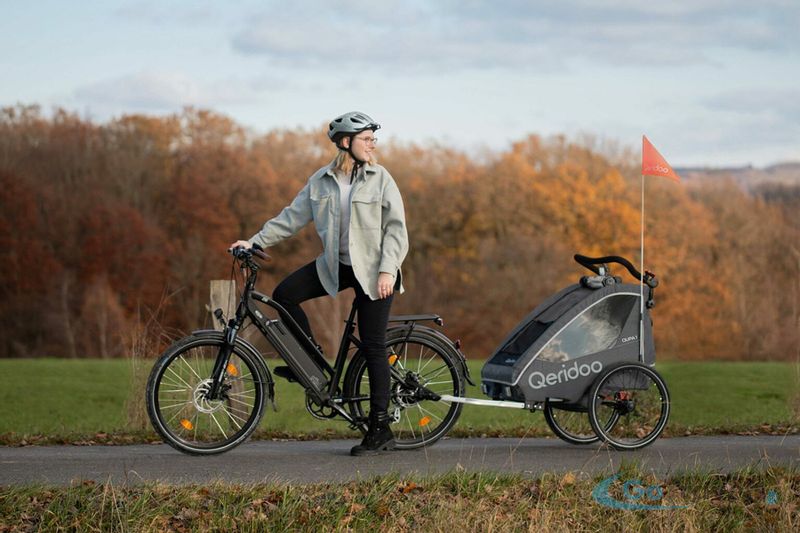 Przyczepka rowerowa Wózek Qeridoo Qupa 2 Grey zdjęcie 8