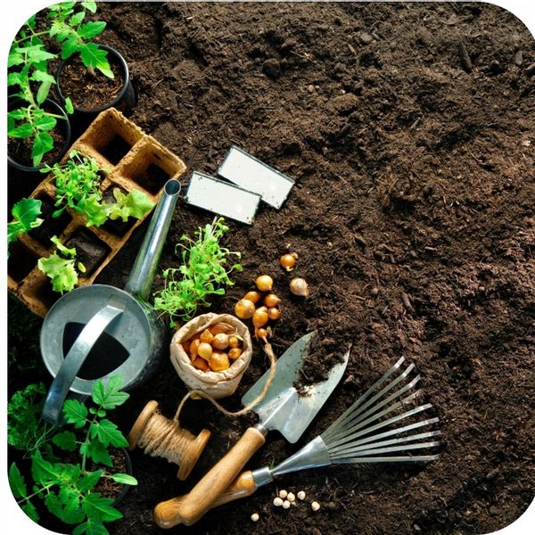 FruktoVit Plus Nawóz uniwersalny granulowany ogrodniczy 5kg ZDROWE ROŚLINY zdjęcie 11