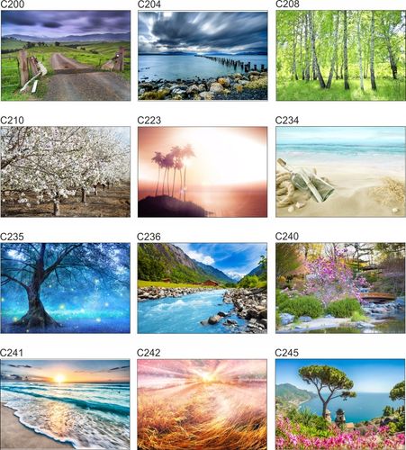 Fototapeta 3D las we mgle drzewa na wymiar FLIZ na Arena.pl