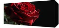 product-compare-59493358
