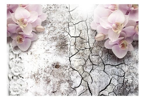 Fototapeta - Pąsowe orchidee 350x245 na Arena.pl