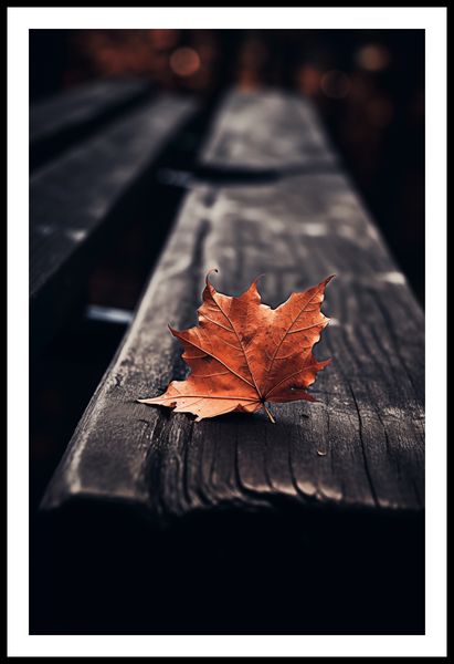 Plakat 56,6x86,4cm Pojedynczy Liść zdjęcie 3