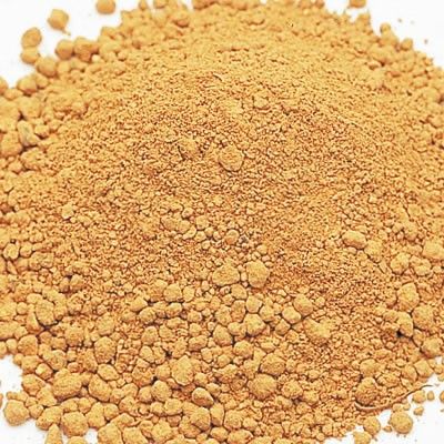 ADA Bacter 100 (bakterie w proszku 100g) na Arena.pl