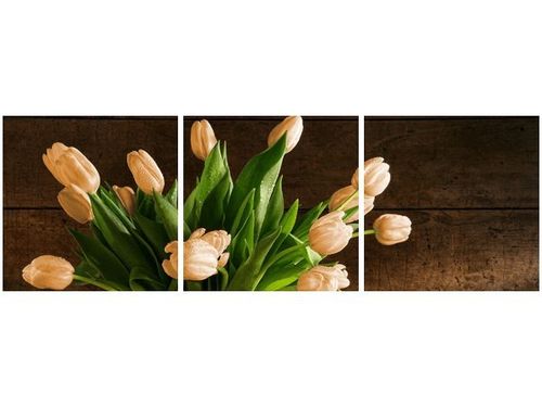 60 90CM OBRAZ 3 ELEM RDZAWE TULIPANY ŚCIENNY DRUK PŁÓTNO na Arena.pl