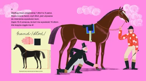 Uszatek, Piędzipiędek I Dziura W Uchu. Jak Zmierzyć Świat? na Arena.pl