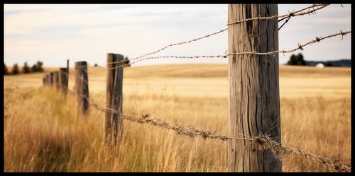 Plakat 91,3x44,5cm Płot na Polu na Arena.pl