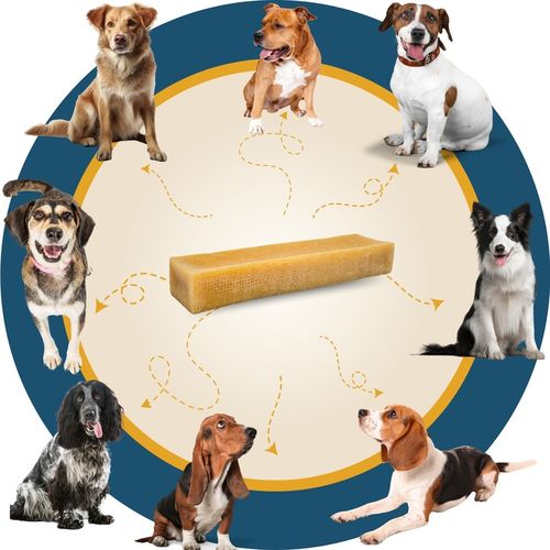 NATURALNY GRYZAK DLA PSA Z SERA HIMALAJSKIEGO SEREK M PRZEKĄSKA na Arena.pl