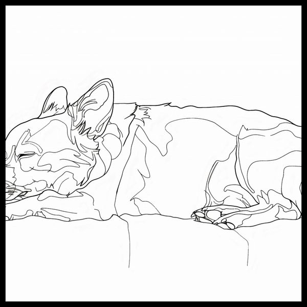 Plakat 80x80cm Śpiący Psiak zdjęcie 2