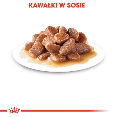 royal canin instinctive gravy 12x85g na Arena.pl