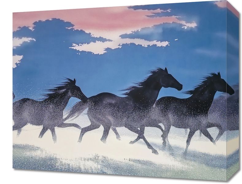 Obraz 50x40cm Wolność i Swoboda zdjęcie 1