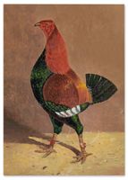 Plakat kura ilustracja 29,7x42 cm A3