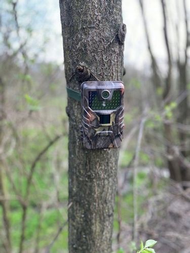 Fotopulapka HC-900A 1080p Kamera Lesna Suntek FullHD Karta SD 16GB Baterie na Arena.pl