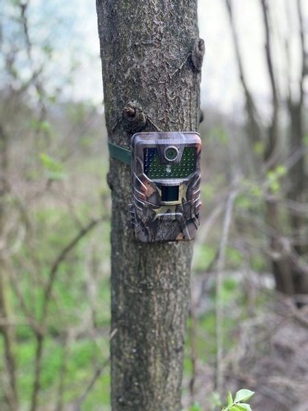 Fotopulapka HC-900A 1080p Kamera Lesna Suntek FullHD Karta SD 16GB Baterie zdjęcie 8