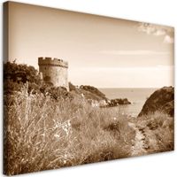 Obraz do salonu sypialni biura, Krajobraz morski sepia klif