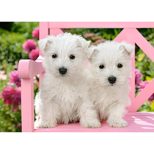 PUZZLE 120EL. WHITE TERRIER na Arena.pl