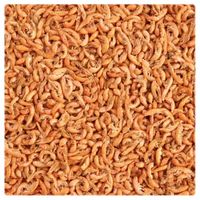 GLOPEX KIEŁŻ SYBERYJSKI SUSZONY GAMMARUS 150g/1l