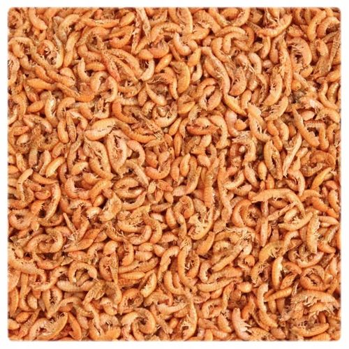 GLOPEX KIEŁŻ SYBERYJSKI SUSZONY GAMMARUS 150g/1l na Arena.pl