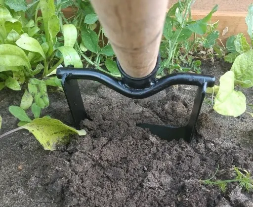 Motyka do chwastów średnia zdjęcie 2