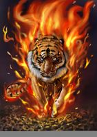 FOTOTAPETA NATURA ZWIERZĘTA TYGRYS W OGNIU