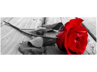 OBRAZ RED ROSE