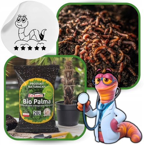 Podłoże do PALM 20 L na Arena.pl