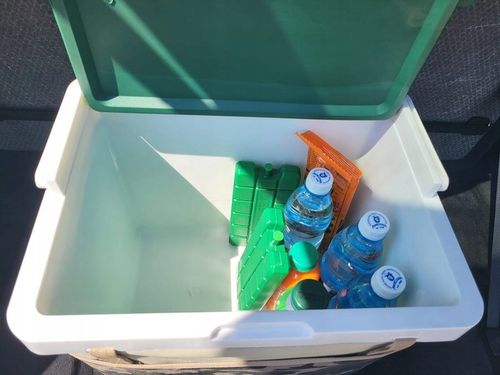 LODÓWKA TURYSTYCZNA SAMOCHODOWA POJEMNIK TERMICZNY na Arena.pl