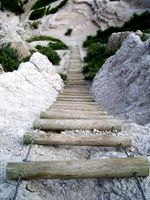 product-compare-62146004